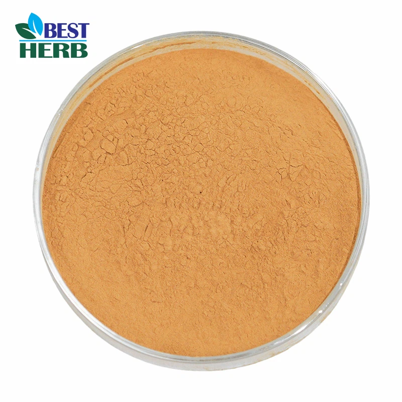 Astragalus Root Extract