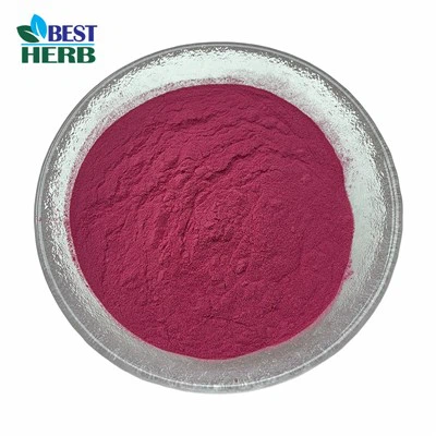 Enginar Ekstraktı Tozu doğal bir idrar söktürücü olarak kullanılabilir mi?